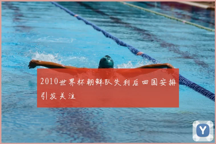 2010世界杯朝鲜队失利后回国安排引发关注