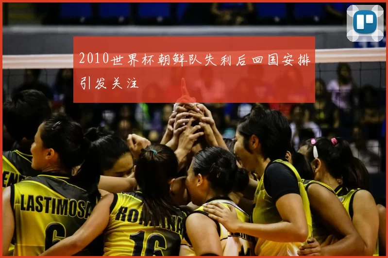 2010世界杯朝鲜队失利后回国安排引发关注