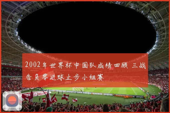 2002年世界杯中国队成绩回顾 三战告负零进球止步小组赛