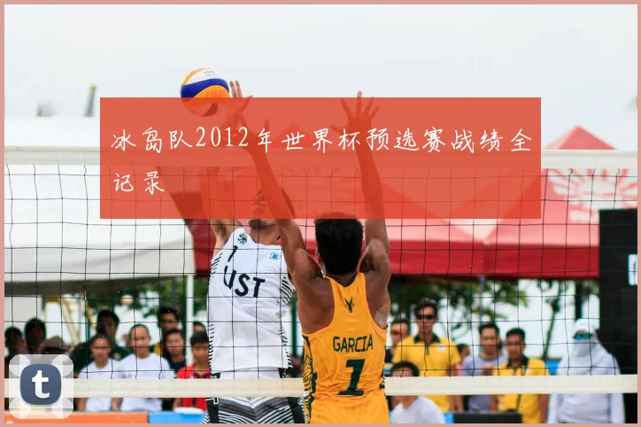 冰岛队2012年世界杯预选赛战绩全记录