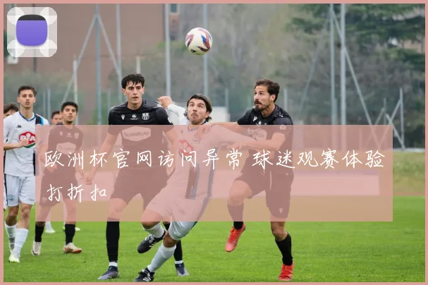 欧洲杯官网访问异常 球迷观赛体验打折扣